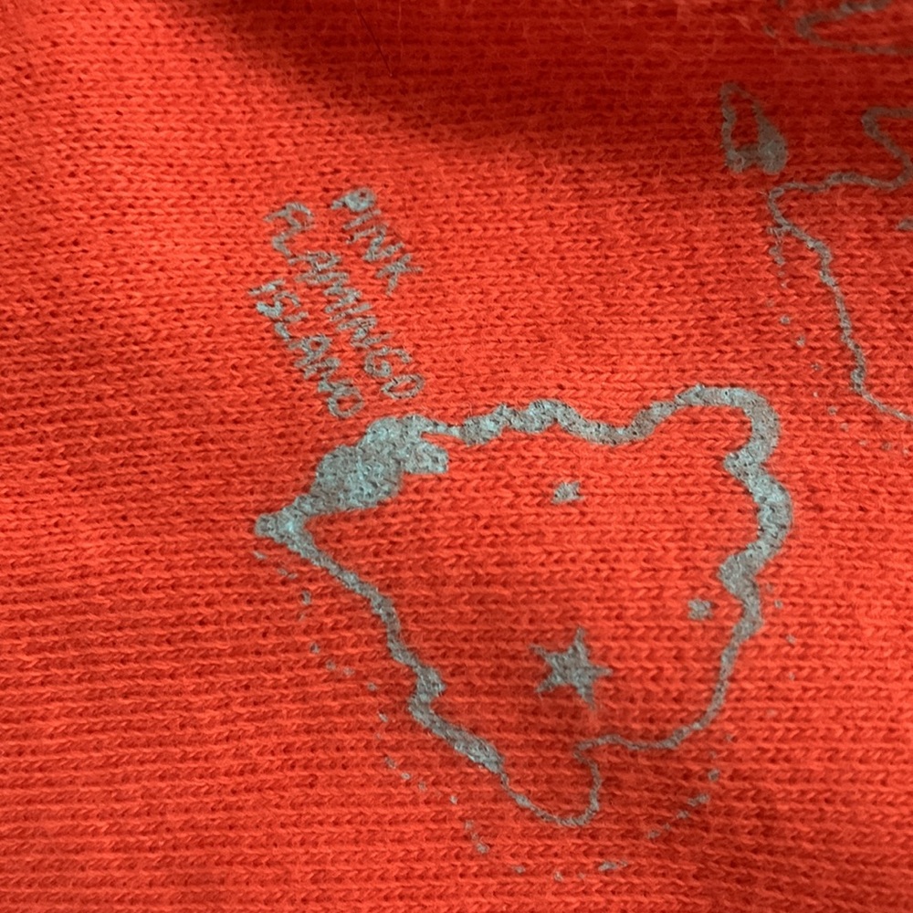 FREE PEOPLE CROP SWEATSHIRT PALM FLAMINGO - Picture 4 of 4